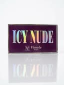 palette vioryle dupe icy nude